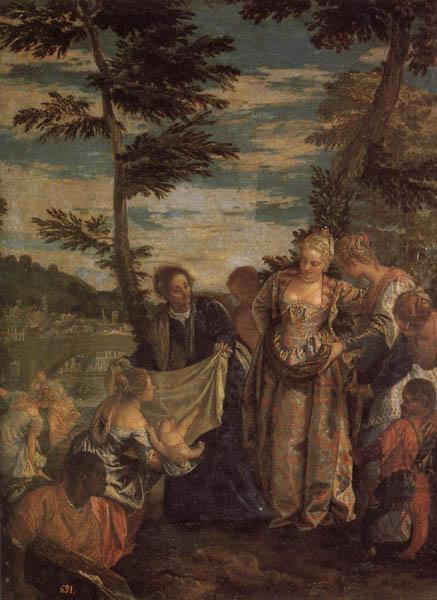 VERONESE (Paolo Caliari) Moses Saved from the Waters of the Nile china oil painting image